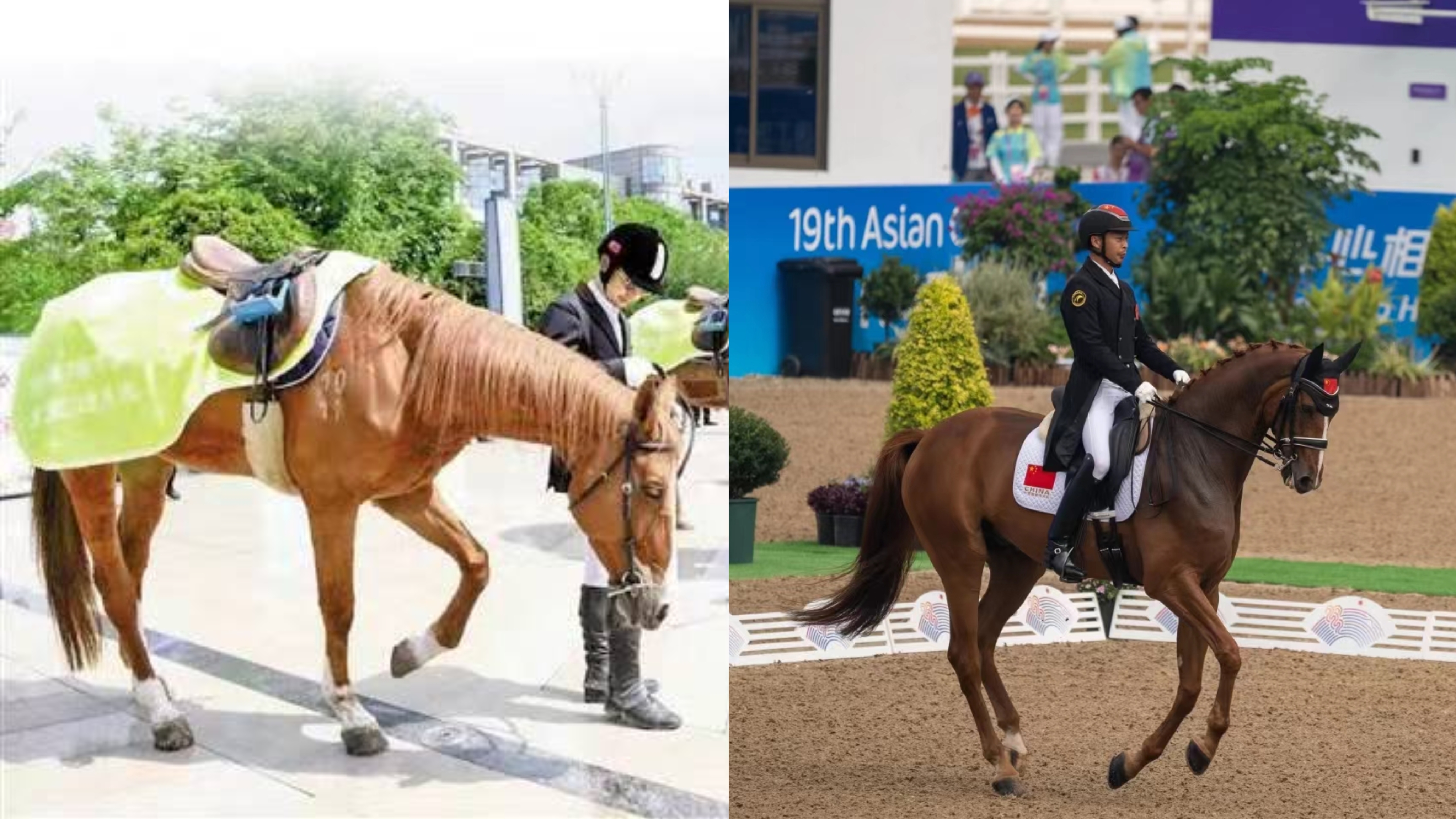 1696644704339908.jpg 微信圖片_20230928145518.jpg