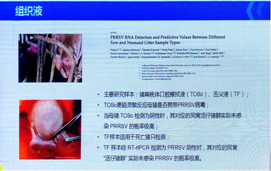 1767144387608082.png image.png