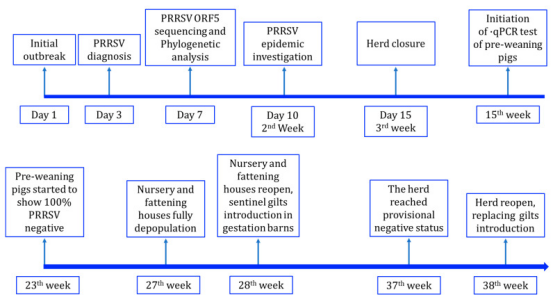 1767149102534024.png image.png