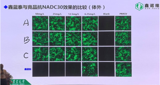 1767489248695049.png image.png